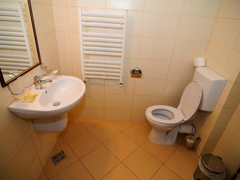 Hotel Termal Geoagiu Bai Ngoại thất bức ảnh