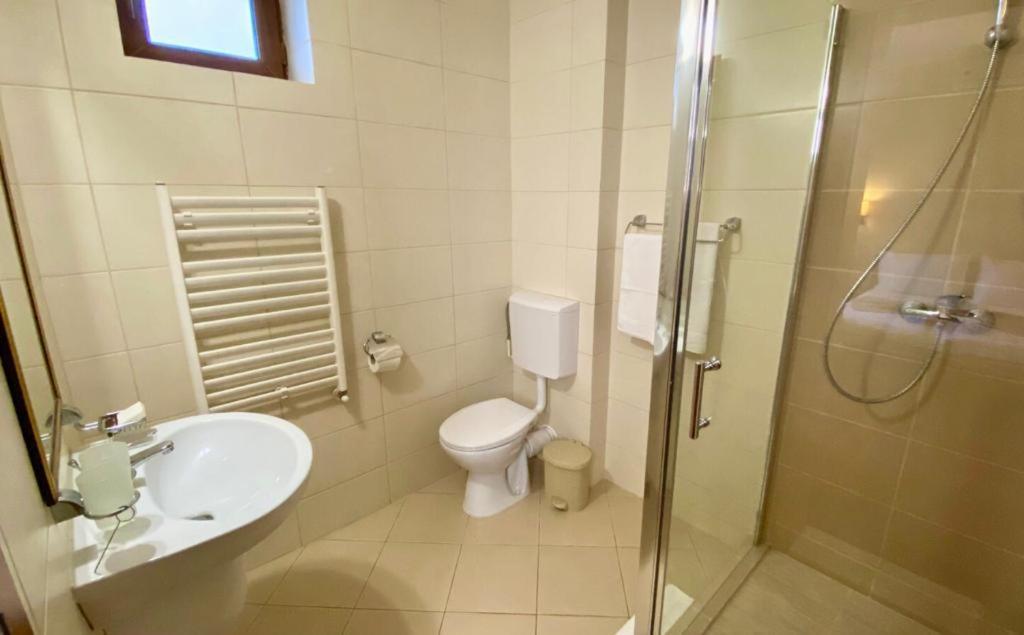 Hotel Termal Geoagiu Bai Ngoại thất bức ảnh